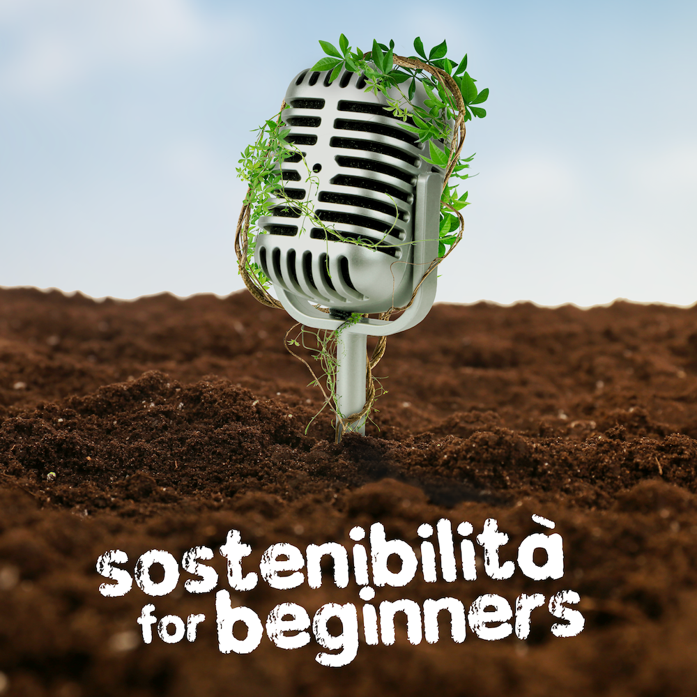 Sostenibilità for beginners cover