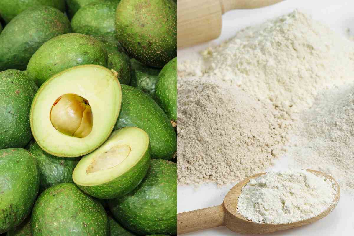 Avocado e farina