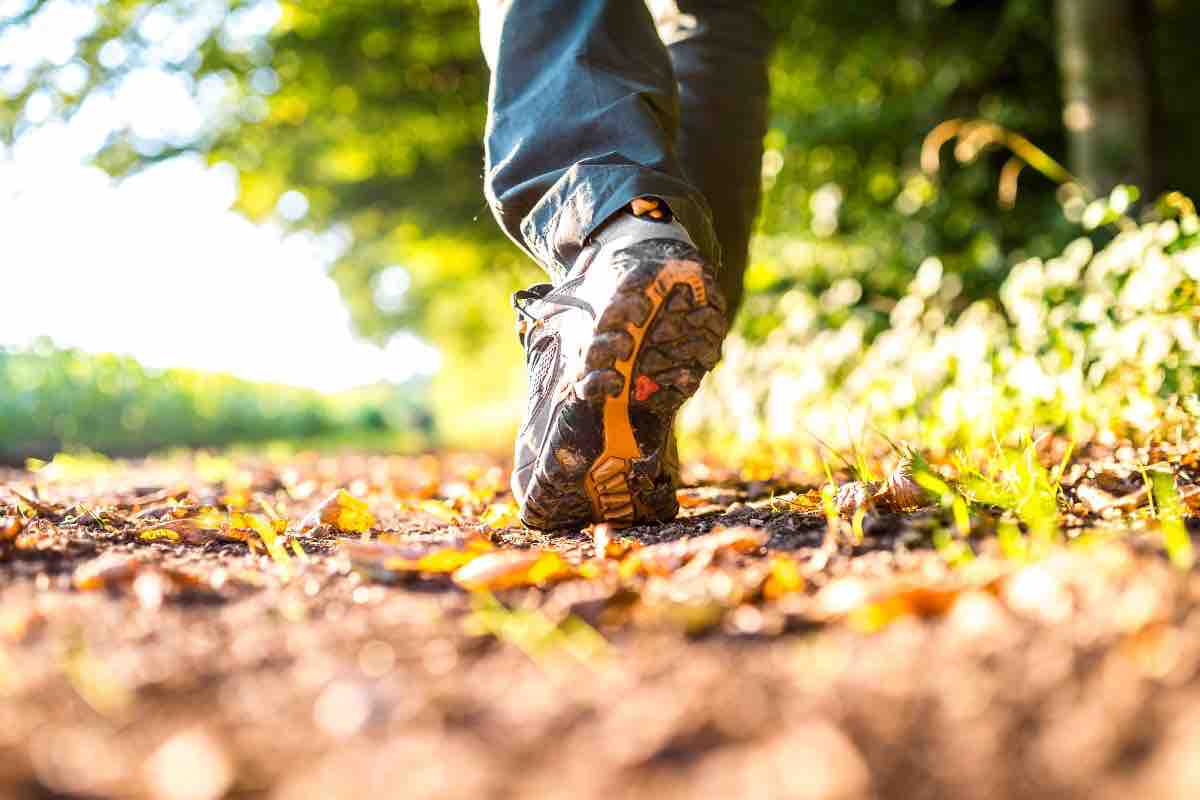 Persona che cammina nella natura