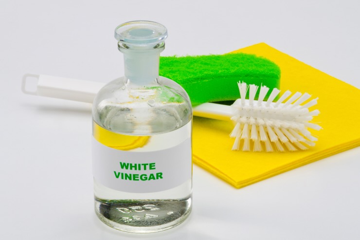 aceto bianco, spazzola e spugna 
