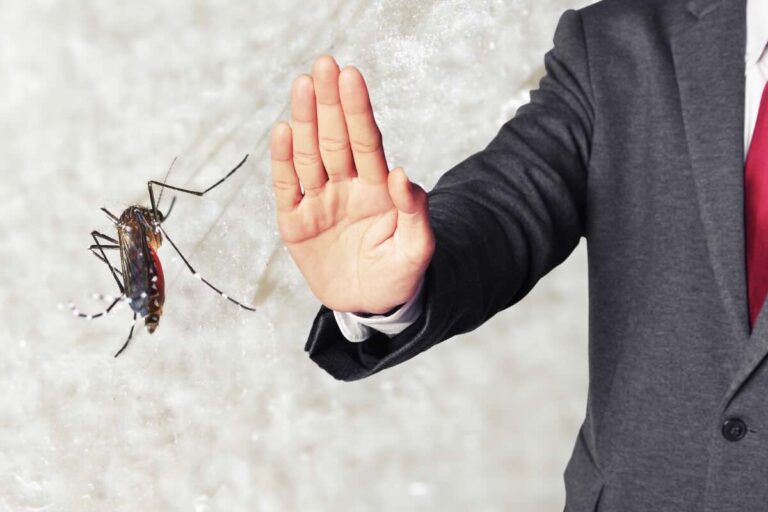 Altro che insetticida e repellenti: con queste 3 piante abbellisco il balcone e tengo lontane formiche e zanzare